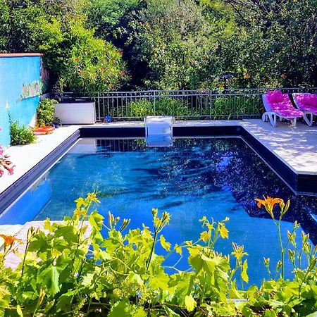 圖盧茲80 M2 Independant 4 Personnes Direct Gare Ou Aeroport Jardin Piscine公寓 外观 照片