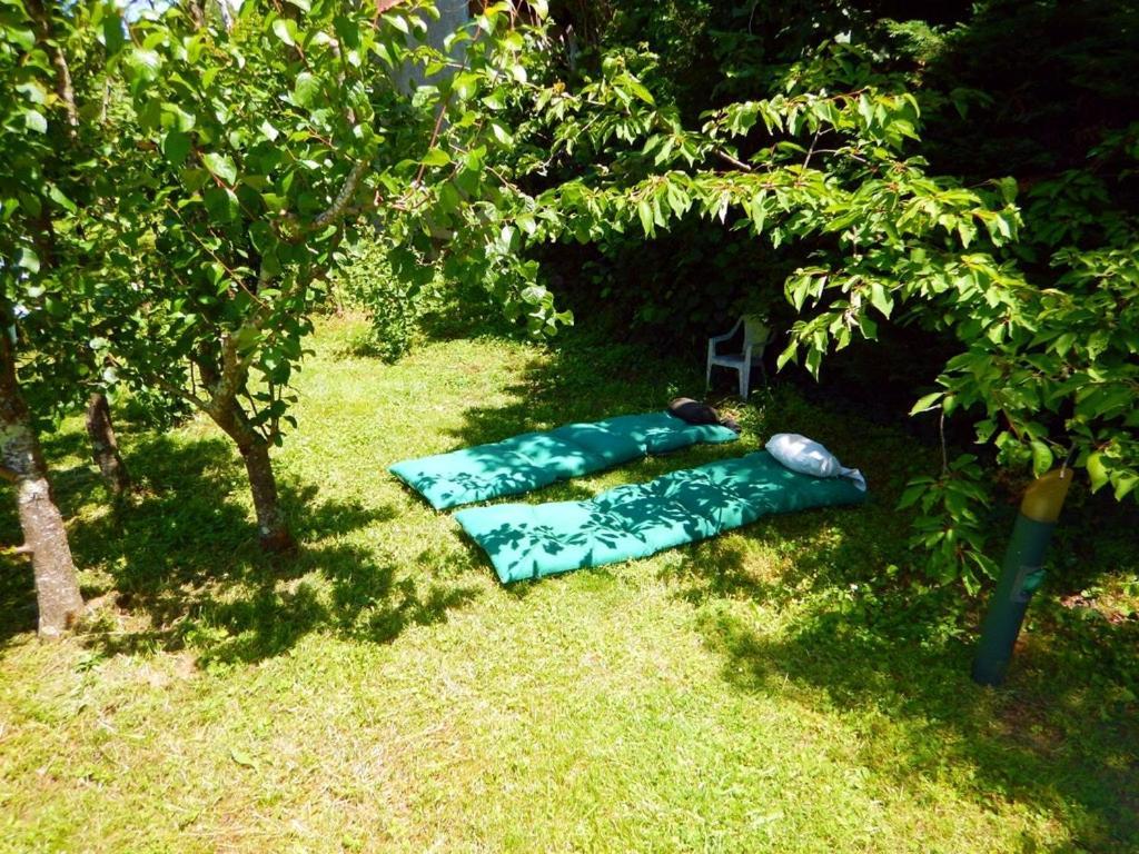 圖盧茲80 M2 Independant 4 Personnes Direct Gare Ou Aeroport Jardin Piscine公寓 外观 照片